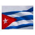 cuban flag posters by cardart cuban flag posters