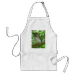 Cuban Pygmy-owl aprons