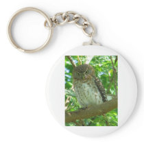 Cuban Pygmy-owl Key Chain