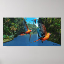 bird, avian, parrot, tropical., colorful, feathers, flight, fly, wing, species, vertebrate, bipedal, warm-blooded, egg-laying, nest, tetrapod, beak, jungle, tropics, plumage, cuban, red, macaw, Poster with custom graphic design