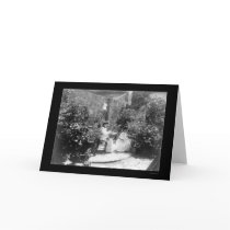 Cuban Women in Their Home Garden 1917 cards