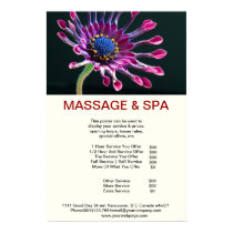 Cubane spider Spa Massage Beauty Salon Poster