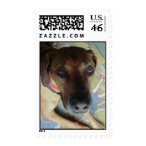 cubby stamps
