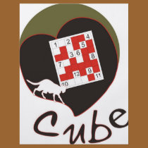 Cube flyers