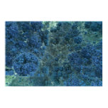 Cubic Sea Fractal Poster posters