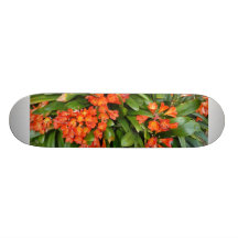cubierta de la flor tabla de skate