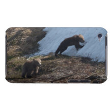 Cubs at Play Barely There iPod Covers