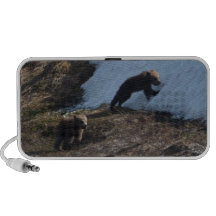 Cubs at Play Portable Speaker