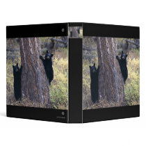 cubs binders by WorldDesign cubs binders