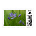Cuckoo Flower Stamp by SabineSt Cuckoo Flower Stamp