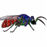 Cuckoo Wasp Photo Cutouts