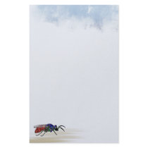Cuckoo Wasp Customized Stationery