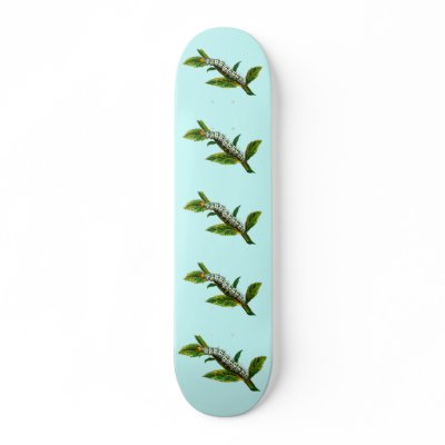 Cucullia verbasci caterpillar skate board decks by FlutterByButterfly