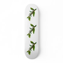 Cucullia verbasci caterpillar skateboards
