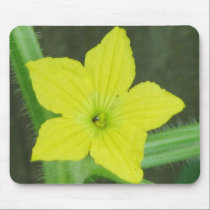 Cucumber  Flower mousepads