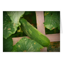 Cucumber Notecard