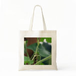 Cucumber Spiral Bags