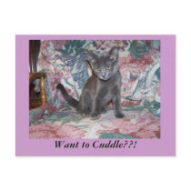 Cuddle bug postcards by KatAnnette Cuddle bug postcards