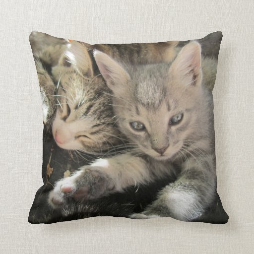Cuddle Cute Kittens Pillows Zazzle