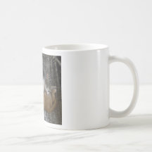 Cuddle Kitties Coffee Mugs