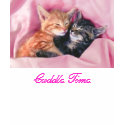 Cuddle Time t-shirts by maximus7 Cuddle Time t-shirts