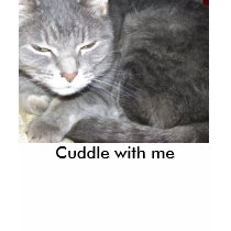 Cuddle with me t-shirts by iona847 Cuddle with me t-shirts