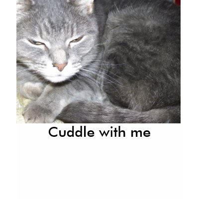 Cuddle with me shirts by iona847