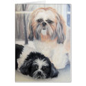 Cuddles and Simon cards by megsodano Cuddles and Simon cards