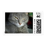 Cuddles crabby face postage stamp
