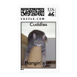 Cuddles kitty hangin' out, US Postage Stamp
