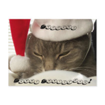 Cuddles, Merry Christmas! post cards postcards by iona847 Cuddles, Merry Christmas! post cards postcards