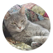 Cuddles on pillow stickers! by iona847 Cuddles on pillow stickers!