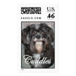 Cuddles postage