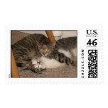 Cuddlin' postage