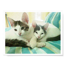 Cuddling Cat's posters