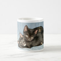 Cuddling Kittens Charity. You Can Change Photo! mugs