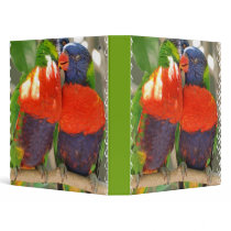 Cuddling Lorikeets Binder