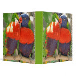 Cuddling Lorikeets Binder