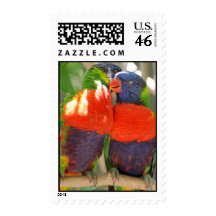 Cuddling Lorikeets Postage Stamp