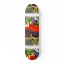 Cuddling Lorikeets Skateboard