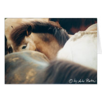 cuddling up cards by stimmt cuddling up cards