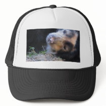 Cuddly Baby Black Bear hats