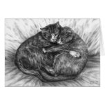 Cuddly Cats Drawing by Kelli Swan cards