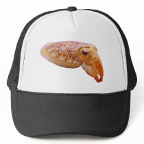 Cuddly Cuttlefish hats