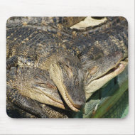 Cuddly Gators mousepad