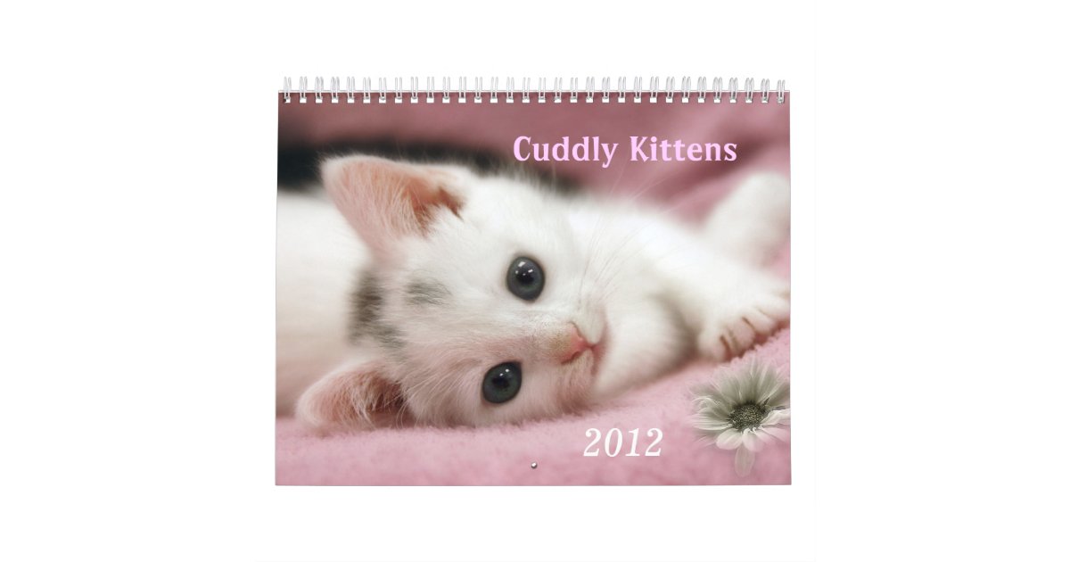 Cuddly Kittens Calendar | Zazzle