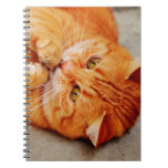 Cuddly Little Cat - Cute Kitty Print Notebook