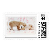 cuddly polar bears postage