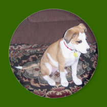 Cuddy Magnet by BoyScoutTroop102 Cuddy Magnet