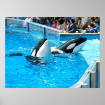 CUENTO DE LAS BALLENAS ....... POSTER